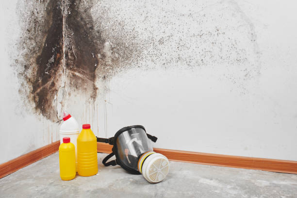 Best Residential Mold Removal  in Sanger, CA