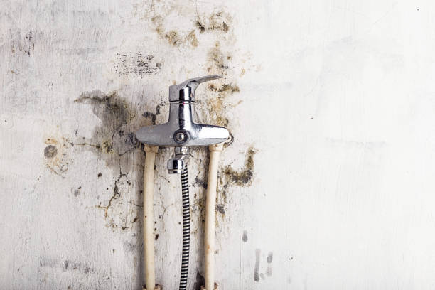 Professional Mold Removal in Sanger, CA