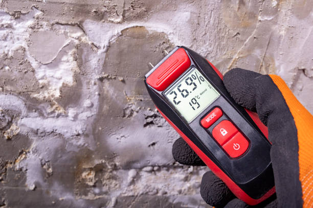 Best Fast Mold Removal  in Sanger, CA