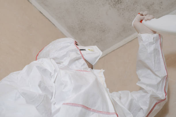 Attic Mold Removal in Sanger, CA