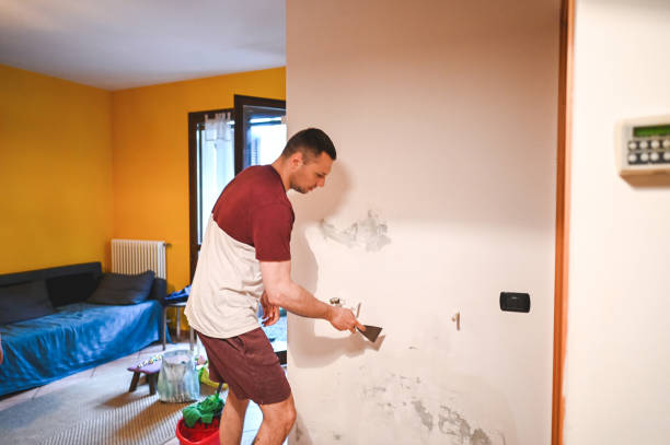 Best Home Mold Removal  in Sanger, CA