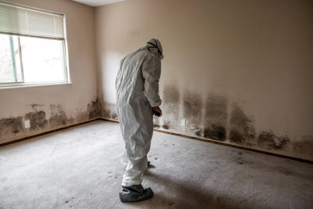 Best Office Mold Removal Services  in Sanger, CA