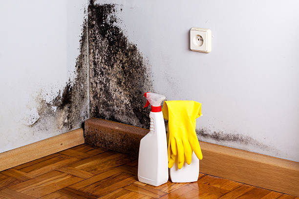 Crawl Space Mold Removal in Sanger, CA
